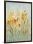 Spray of Wildflowers II-Tim O'toole-Framed Art Print