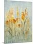 Spray of Wildflowers II-Tim O'toole-Mounted Art Print