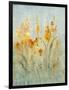 Spray of Wildflowers II-Tim O'toole-Framed Art Print