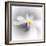 Spray-Ursula Abresch-Framed Photographic Print