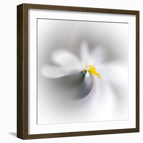 Spray-Ursula Abresch-Framed Photographic Print