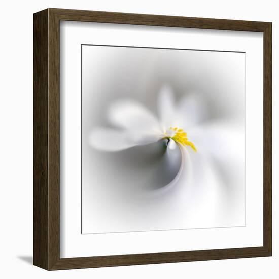 Spray-Ursula Abresch-Framed Premium Photographic Print