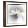 Spray-Ursula Abresch-Framed Premium Photographic Print