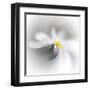 Spray-Ursula Abresch-Framed Premium Photographic Print