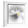 Spray-Ursula Abresch-Framed Premium Photographic Print