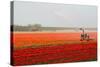 Spraying the Tulip Crop-tpzijl-Stretched Canvas