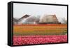 Spraying the Tulip Crop-tpzijl-Framed Stretched Canvas