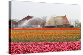 Spraying the Tulip Crop-tpzijl-Stretched Canvas