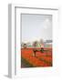 Spraying the Tulip Crop-tpzijl-Framed Photographic Print