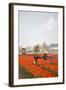 Spraying the Tulip Crop-tpzijl-Framed Photographic Print