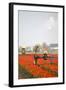 Spraying the Tulip Crop-tpzijl-Framed Photographic Print