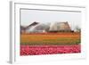 Spraying the Tulip Crop-tpzijl-Framed Photographic Print