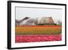 Spraying the Tulip Crop-tpzijl-Framed Photographic Print