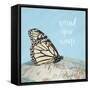 Spread Your Wings-Susannah Tucker-Framed Stretched Canvas