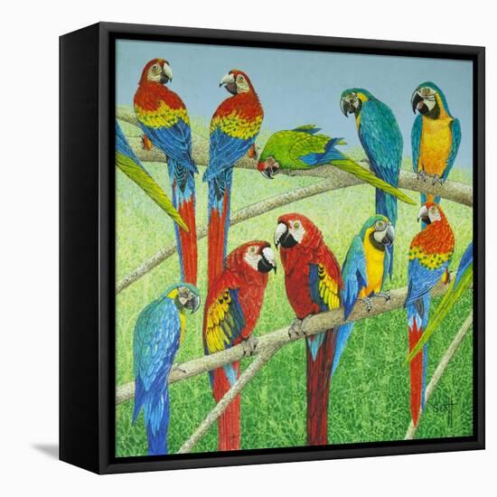 Spreading the News-Pat Scott-Framed Stretched Canvas