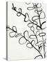 Sprig Contour I-Victoria Barnes-Stretched Canvas