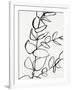 Sprig Contour II-Victoria Barnes-Framed Art Print