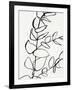 Sprig Contour II-Victoria Barnes-Framed Art Print