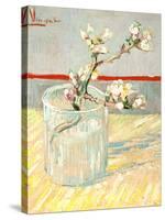 Sprig of Flowering Almond Blossom in a Glass, 1888-Vincent van Gogh-Stretched Canvas