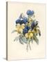Sprig of Pansies-Madame Benoit-Stretched Canvas