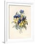 Sprig of Pansies-Madame Benoit-Framed Giclee Print