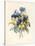 Sprig of Pansies-Madame Benoit-Stretched Canvas