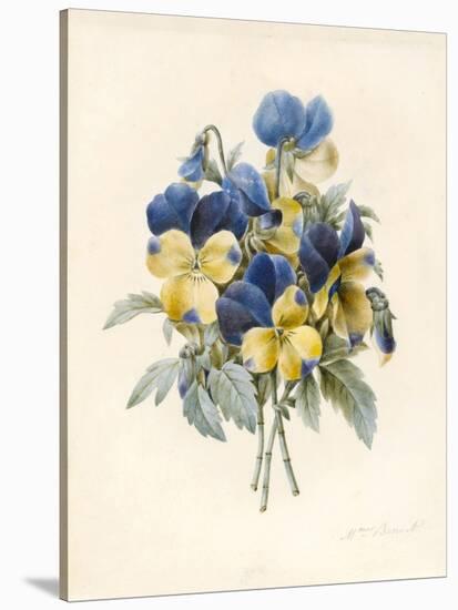 Sprig of Pansies-Madame Benoit-Stretched Canvas