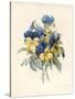 Sprig of Pansies-Madame Benoit-Stretched Canvas