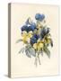 Sprig of Pansies-Madame Benoit-Stretched Canvas