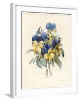 Sprig of Pansies-Madame Benoit-Framed Giclee Print