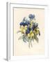 Sprig of Pansies-Madame Benoit-Framed Giclee Print