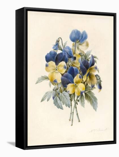 Sprig of Pansies-Madame Benoit-Framed Stretched Canvas