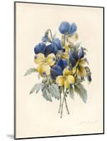 Sprig of Pansies-Madame Benoit-Mounted Giclee Print