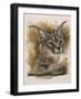 Sprightly-Barbara Keith-Framed Giclee Print