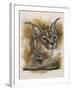 Sprightly-Barbara Keith-Framed Giclee Print