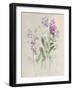 Sprigs of June II-Danhui Nai-Framed Art Print