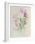 Sprigs of June II-Danhui Nai-Framed Art Print