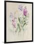 Sprigs of June II-Danhui Nai-Framed Art Print