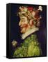 Spring, 1563-Giuseppe Arcimboldo-Framed Stretched Canvas