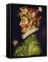 Spring, 1563-Giuseppe Arcimboldo-Framed Stretched Canvas