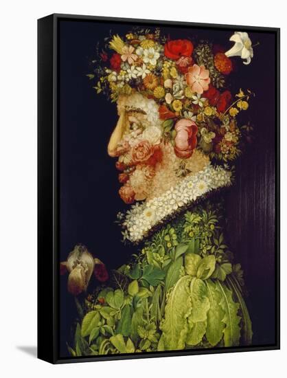 Spring, 1563-Giuseppe Arcimboldo-Framed Stretched Canvas
