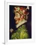 Spring, 1563-Giuseppe Arcimboldo-Framed Giclee Print