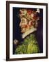 Spring, 1563-Giuseppe Arcimboldo-Framed Giclee Print