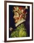 Spring, 1563-Giuseppe Arcimboldo-Framed Giclee Print