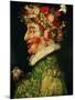 Spring, 1573-Giuseppe Arcimboldo-Mounted Giclee Print