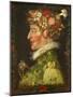 Spring, 1573-Giuseppe Arcimboldo-Mounted Premium Giclee Print