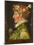 Spring, 1573-Giuseppe Arcimboldo-Mounted Giclee Print