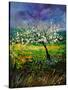 Spring 450150-Pol Ledent-Stretched Canvas