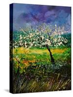 Spring 450150-Pol Ledent-Stretched Canvas