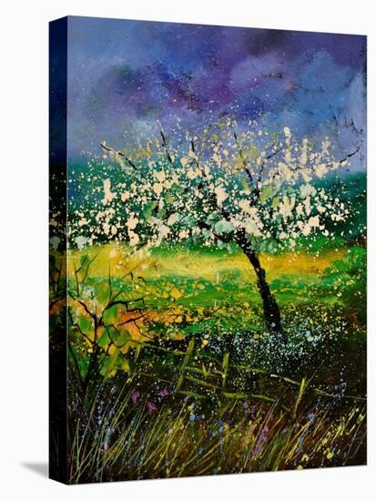 Spring 450150-Pol Ledent-Stretched Canvas